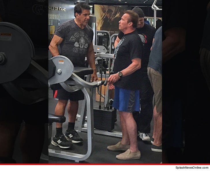 Lou Ferrigno & Arnold Schwarzenegger -- When Hulk Met Conan (PHOTO)