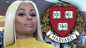 Harvard Says Blac Chyna is NOT Admitted, 'Acceptance' Letter is Fake