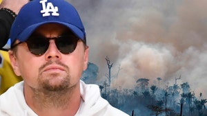 Brazil's President Accuses Leo DiCaprio of Funding Amazon Forest Fires