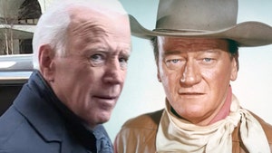 Joe Biden Calls Voter 'Lying Dog-Faced Pony Soldier,' Credits John Wayne