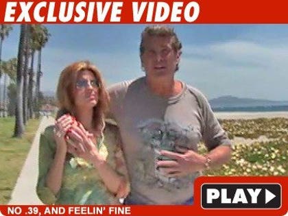 David Hasselhoff: Click to watch