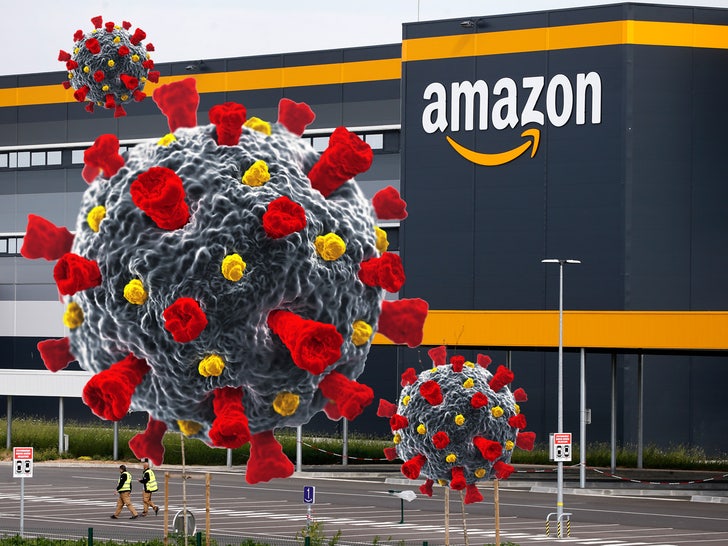 1001 amazon covid composite