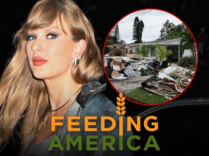 Taylor Swift Makes Huge Hurricane Relief Donation, Joins Other Celebs