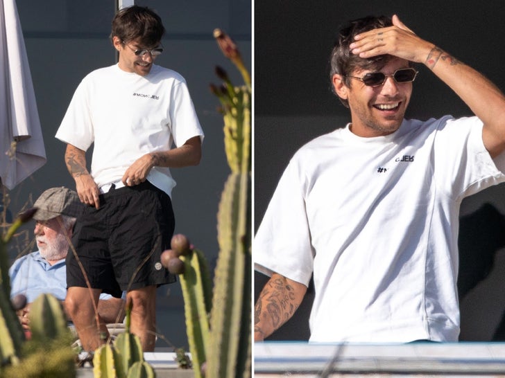 Louis Tomlinson Soaks Up Sun in Malibu