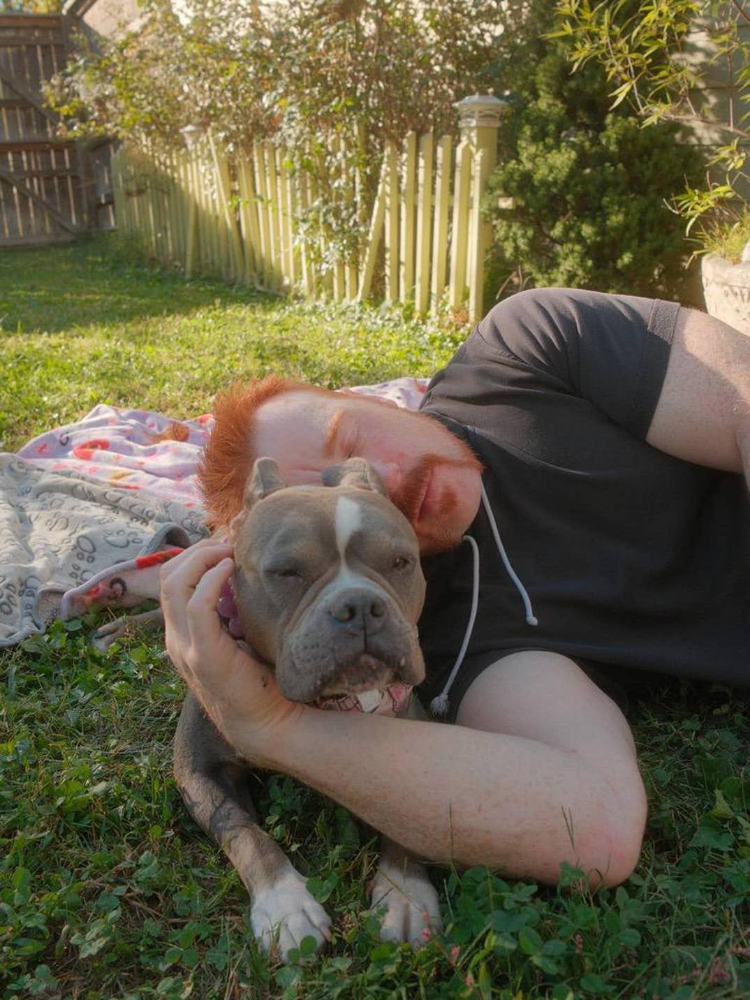 Sheamus Dog Betty 4