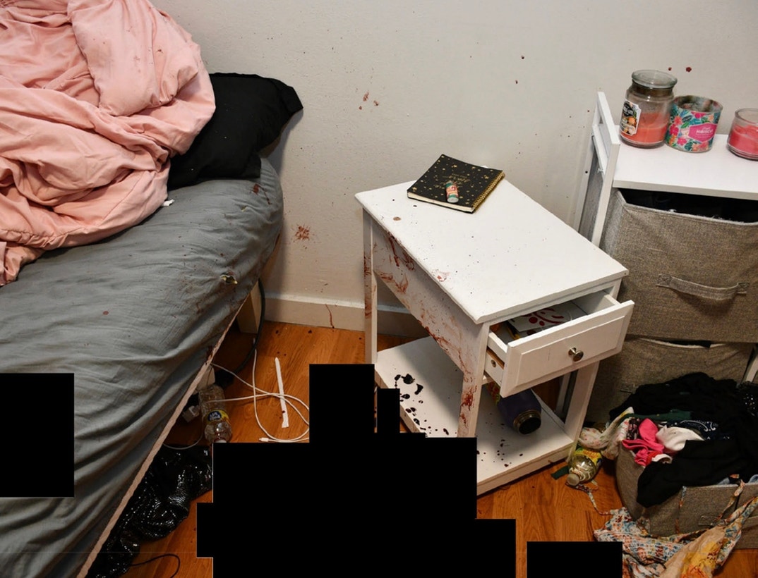 Bryan Kohberger Graphic Crime Scene Photos 12