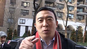 Andrew Yang Recruits LeBron James For 2020 Campaign, 'Let's Work Together!'