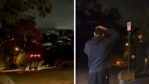 LAPD Offers Reward to Find Driver of Viral Flying Tesla Crash in Echo Park