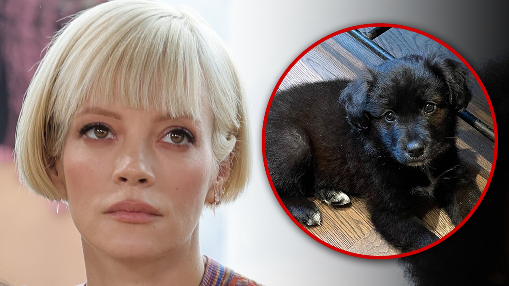 Lily Allen’s Dog Rehomed, Doing Well With New Family, Says Rescue Group