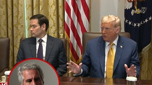 donald-trump-jeffrey-epstein-primary-07-08-2025