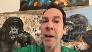 michael-stern-primary-02-20-2026