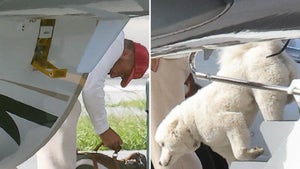 0713-Travis-Kelce-Taylor-Swift-Dog-Debut-PRIMARY