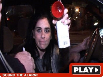 0317_silverman_tmz_video-1