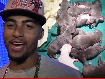 0725-desean-jackson-puppies-main-tmz-instagram-01