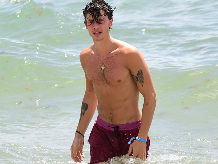 Shawn Mendes Takes A Dip In Miami Beach