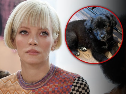 lily allen and dog mary