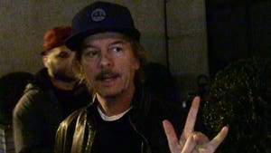 David Spade's Hilarious Take on Stormy Daniels and Donald Trump's Alleged Affair