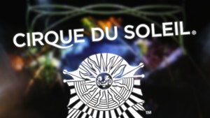 0318-cirque-du-soleil-accident-gettty-01