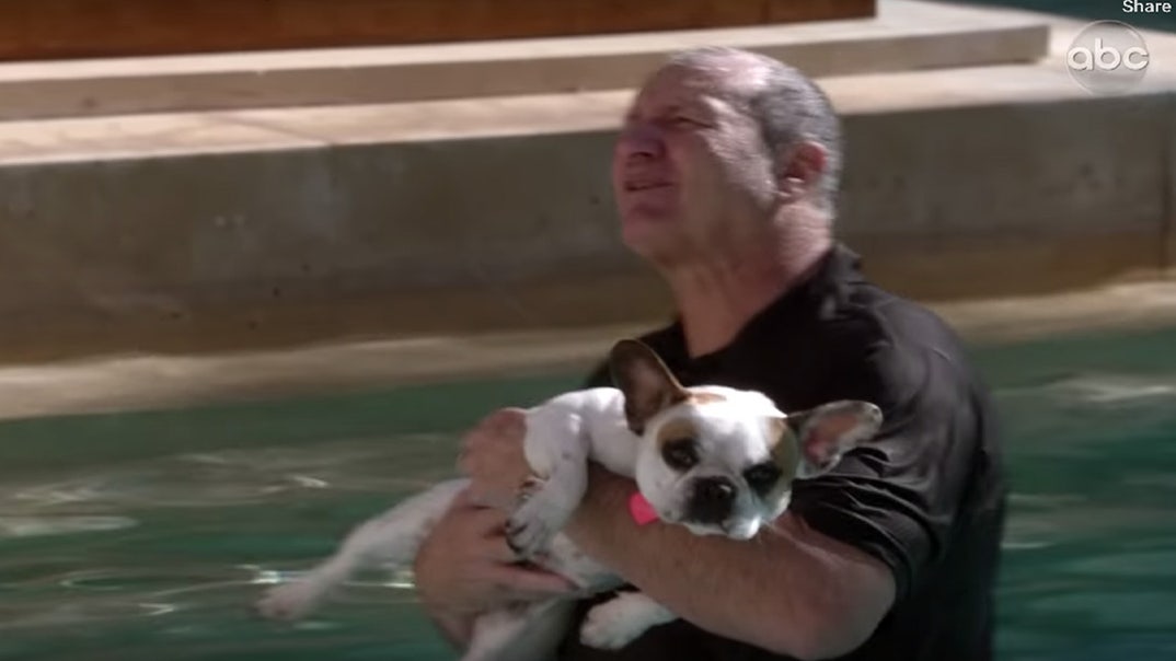 Beloved Modern Family dog dies after filming last episode