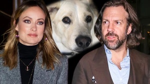 Olivia Wilde & Jason Sudeikis' Alleged Dog Walker Talks Losing Gordon