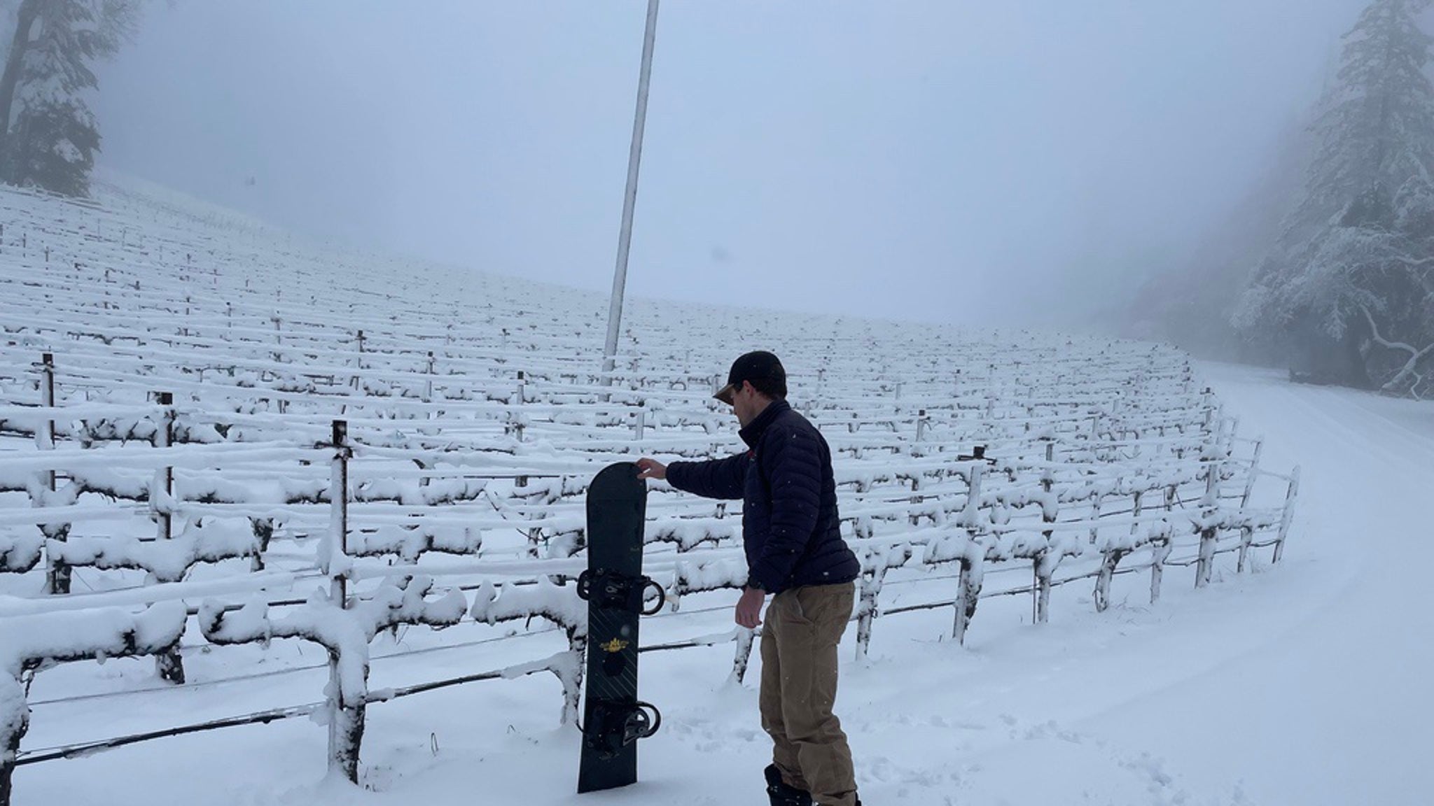 Famous Napa Valley Wineries Blanketed In Snow famous-napa-valley-wineries-blanketed-in-snow