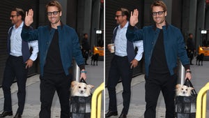 Can you spot the THREE minor differences in these two Glen Powell images?