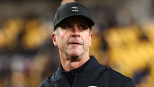 john harbaugh getty 1