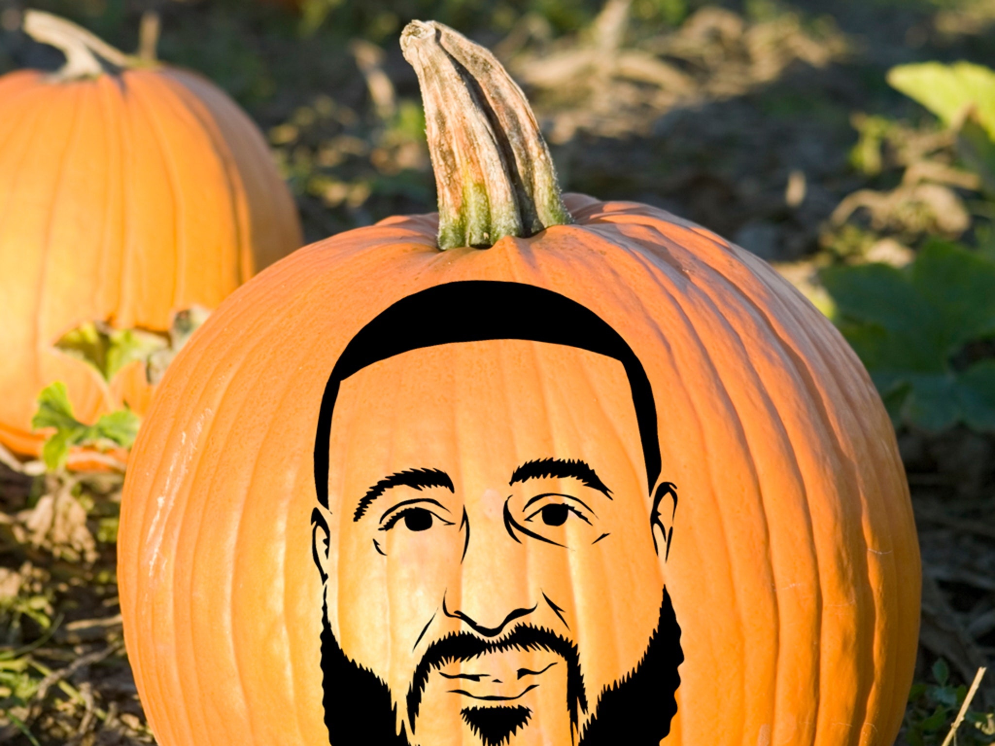 TMZs Celeb Pumpkin Stencils