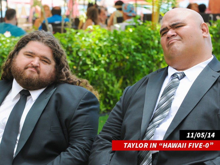 Taylor Wily hawaii five-o