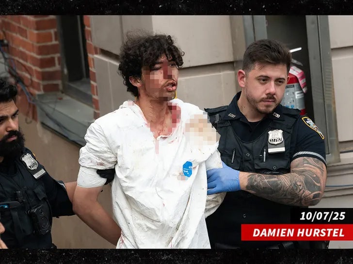 Damien Herstel Stten Island Sub -Getty Swipe 3