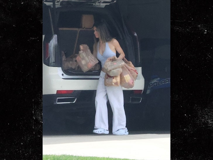 taylor frankie paul unloads groceries before heading inside home in utah backgrid 2