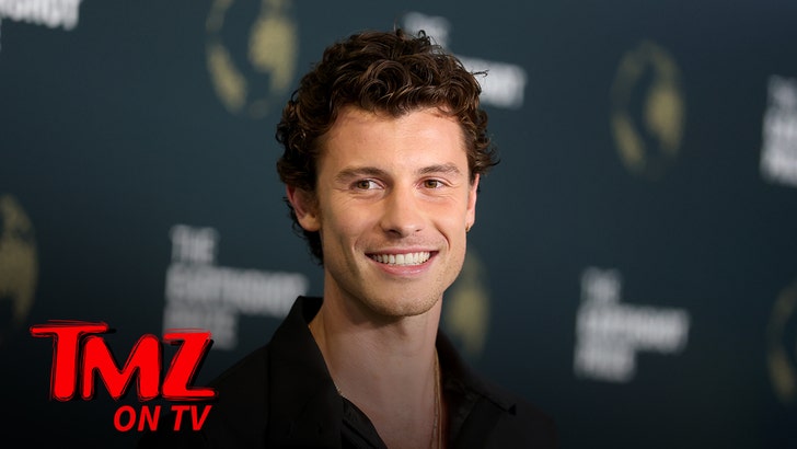 shawn-mendez-tmz-tv