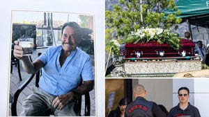 peter cullen main