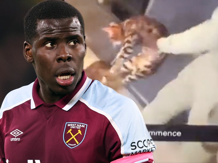 Authorities Take Kurt Zouma's Cats After Soccer Star Was Seen Beating  Animals On Video