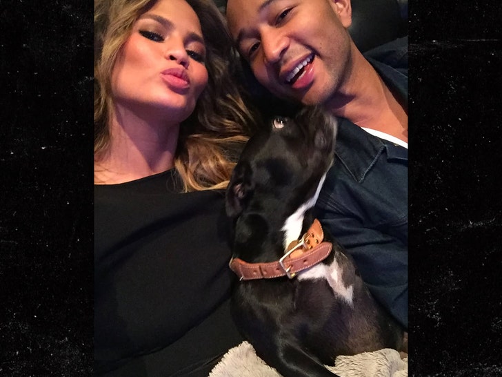 Chrissy Teigen meratapi kematian anjing