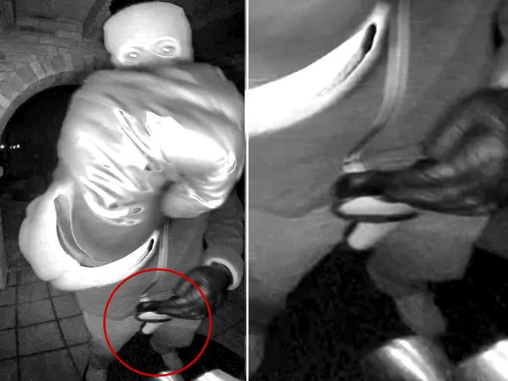 уљез пиштољ