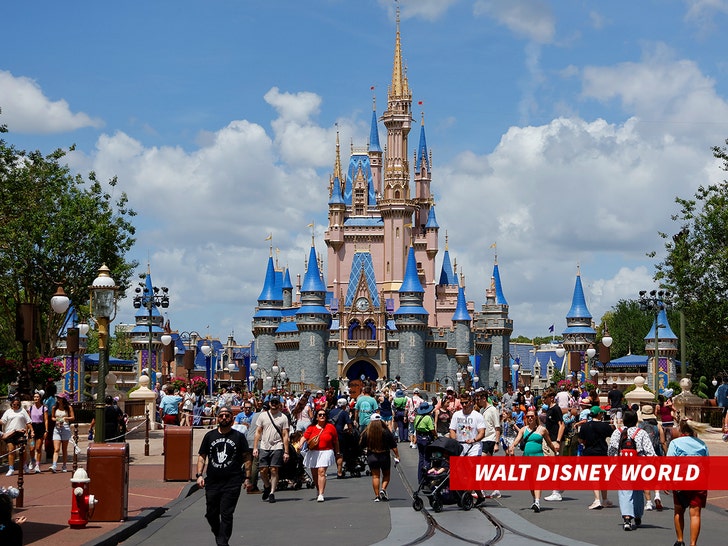 sub-walt-disney-world-getty-1