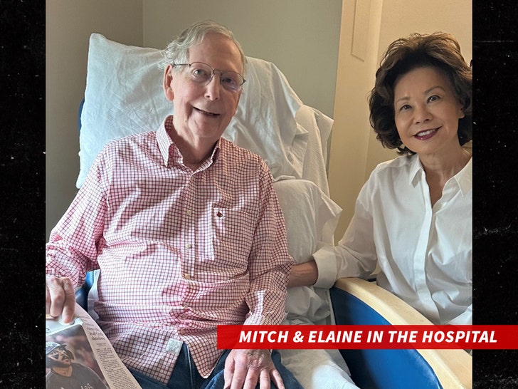 sub-Mitch-McConnell-1