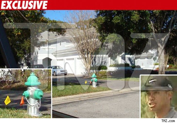 This Is the Hydrant that Tiger Woods Hit