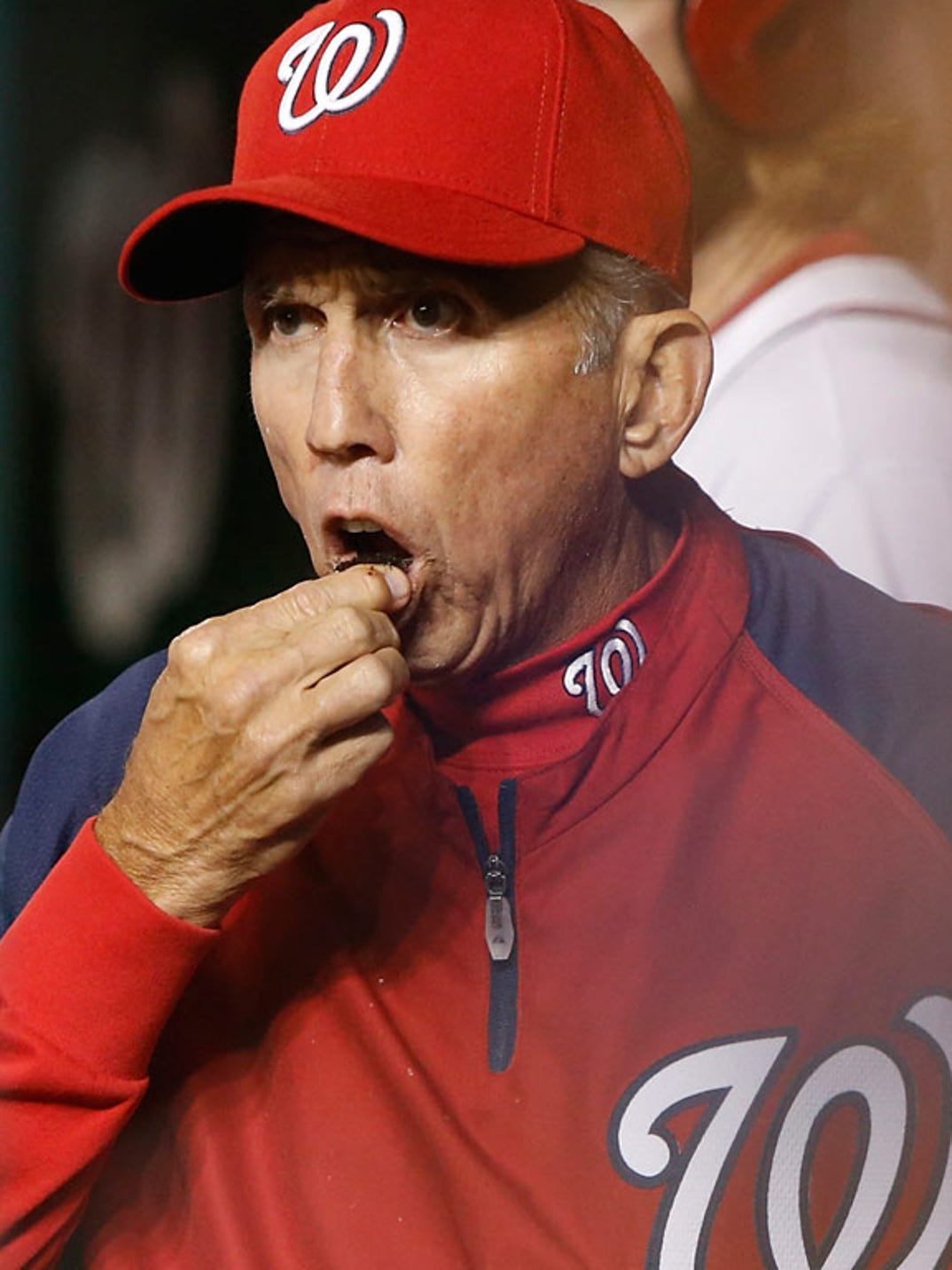 wad of chewing tobacco Guess The MLB Wad!