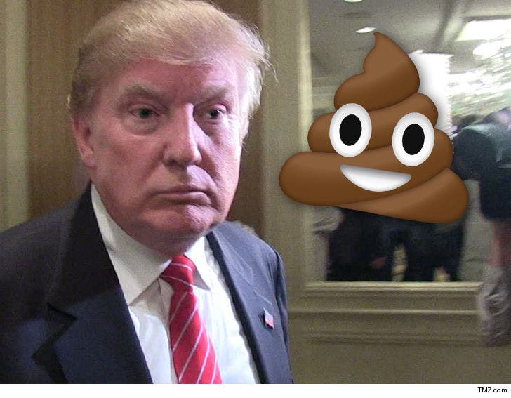 Donald Trump 'S hole President' Toys Might Be a Thing :: 0226-donald-trump-poop-emoji-tmz-4