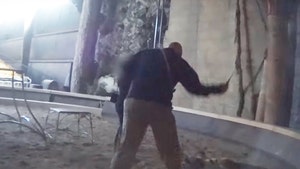 Hollywood Animal Trainer -- Video of Vicious Tiger Whipping (VIDEO)