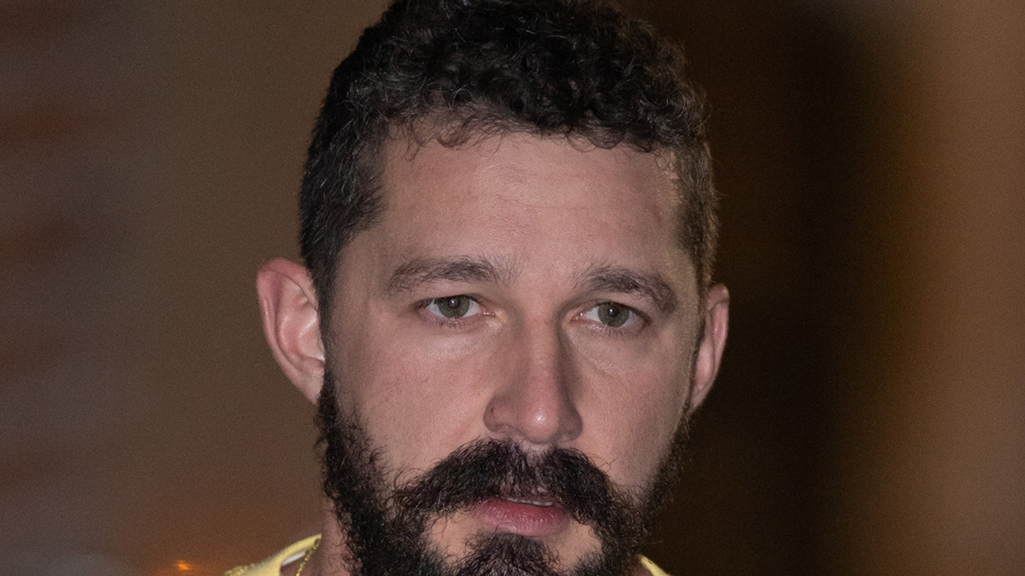 shia-labeouf-charged-with-battery-petty-theft-stemming-from-june-incident