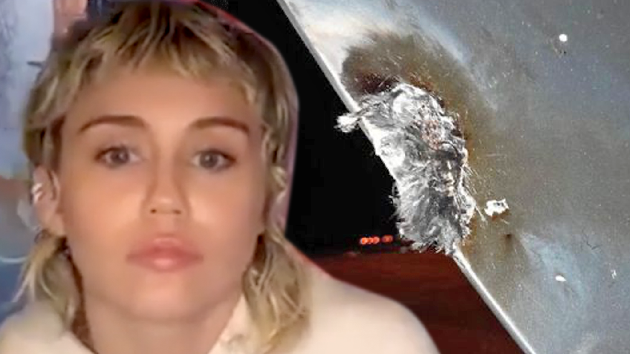 El avión de Miley Cyrus choca y es dañado por un rayo, haciendo un aterrizaje de emergencia