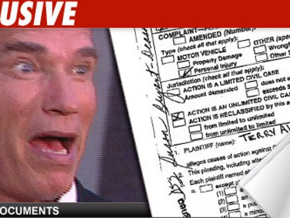 Arnold Schwarzenegger: Click to view the docs!