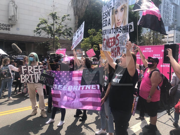 Free Britney Rally Outside Of Court