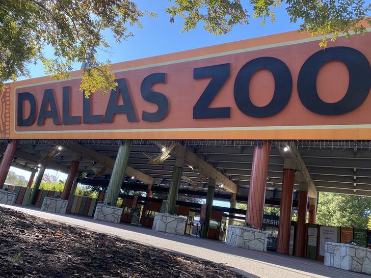 dallas zoo