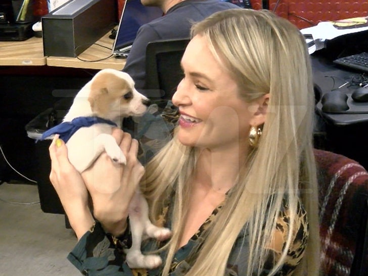Rescue Puppies, Puppy Bowl XIX'e Hazırlanarak TMZ Ofisini İstila Etti