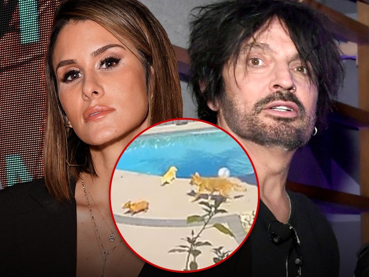 Tommy Lee & Brittany Furlan’s Dog Snatched By Coyote From Their Backyard