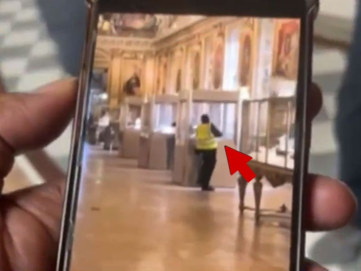 Louvre heist robber